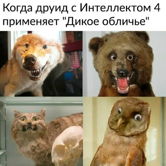 Дичкин понедельник