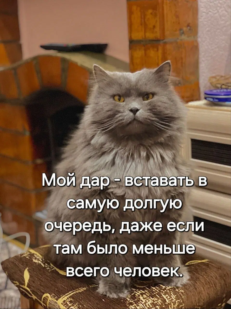 Дичкин понедельник