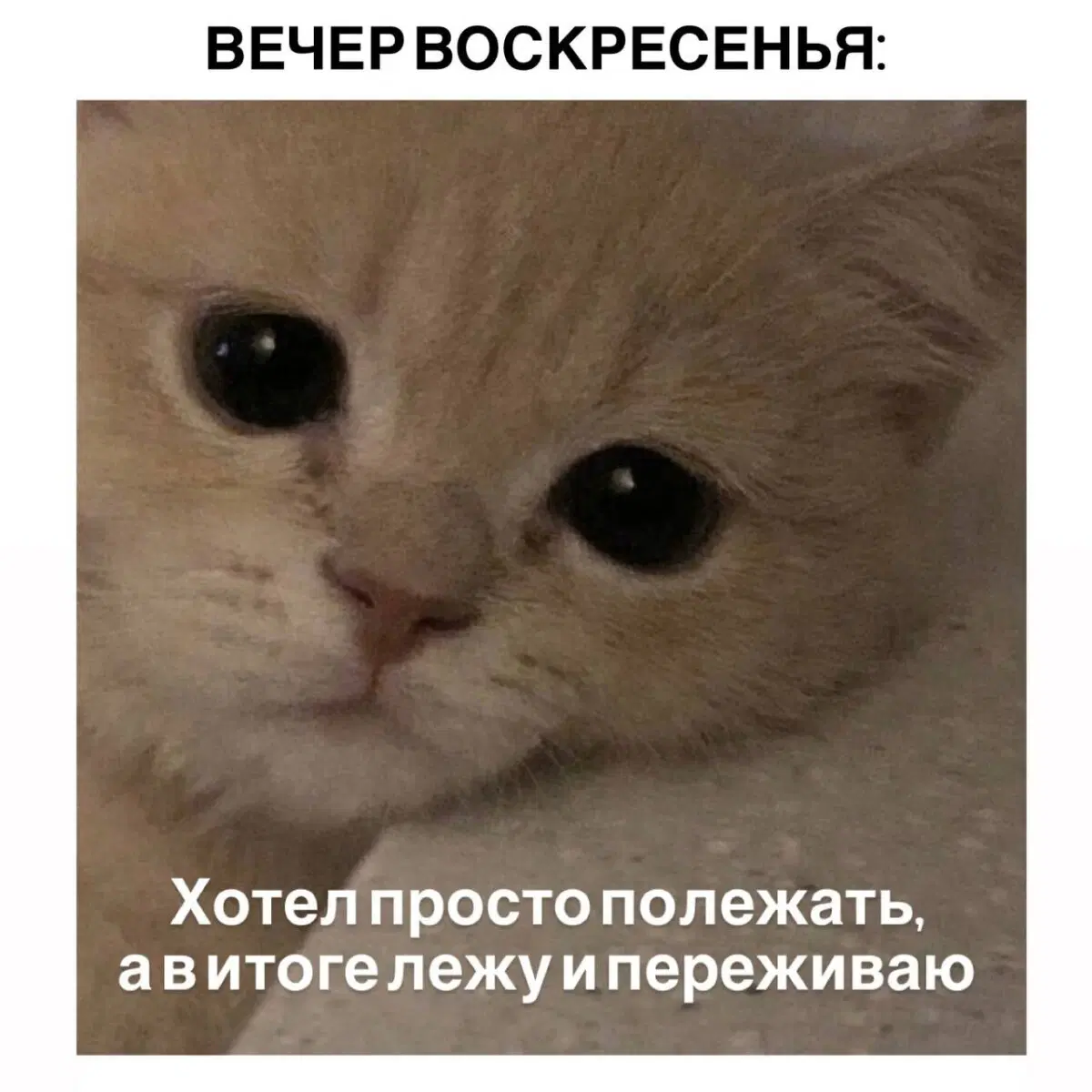 Дичкин понедельник