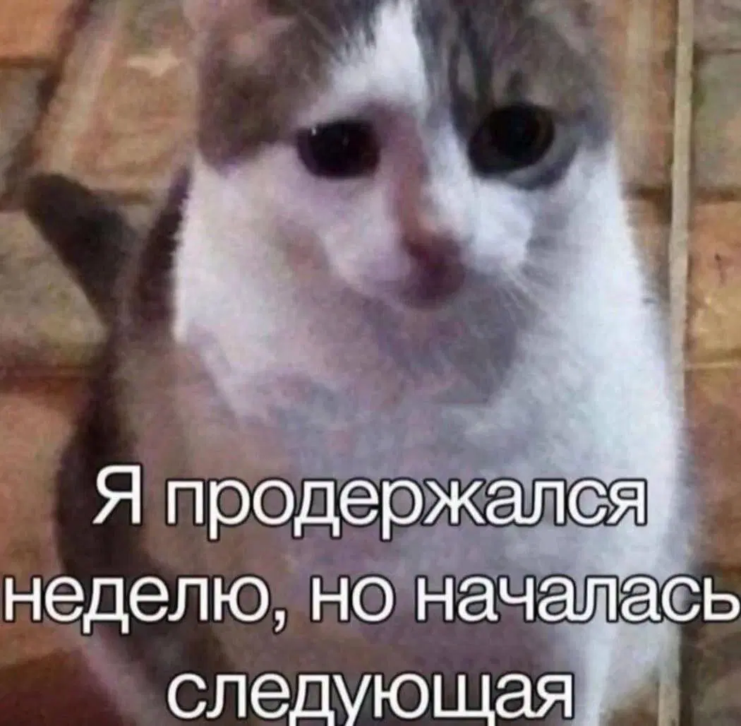 Дичкин понедельник