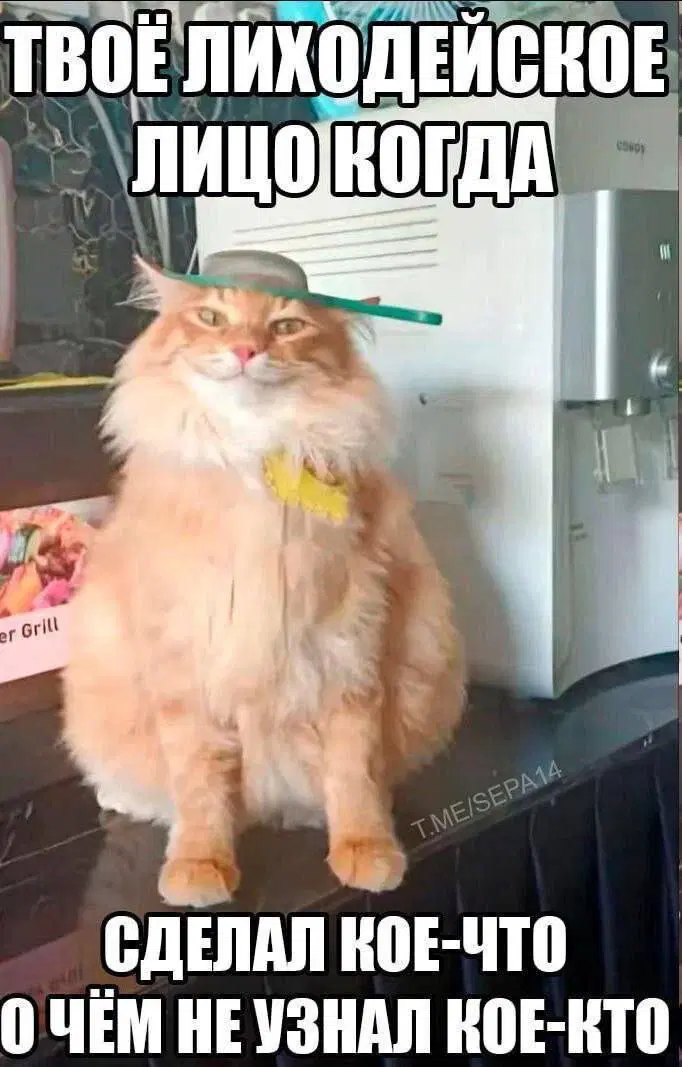 Дичкин понедельник