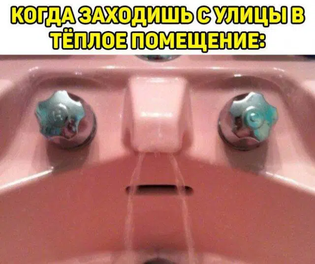 Дичкин понедельник