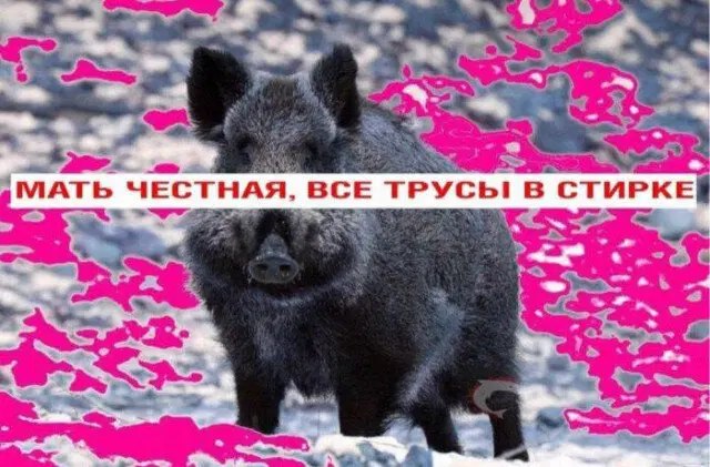 Дичкин понедельник