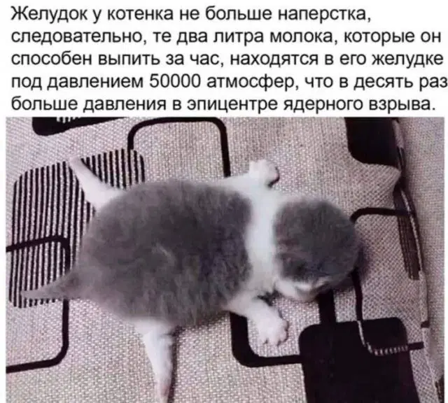 Дичкин понедельник