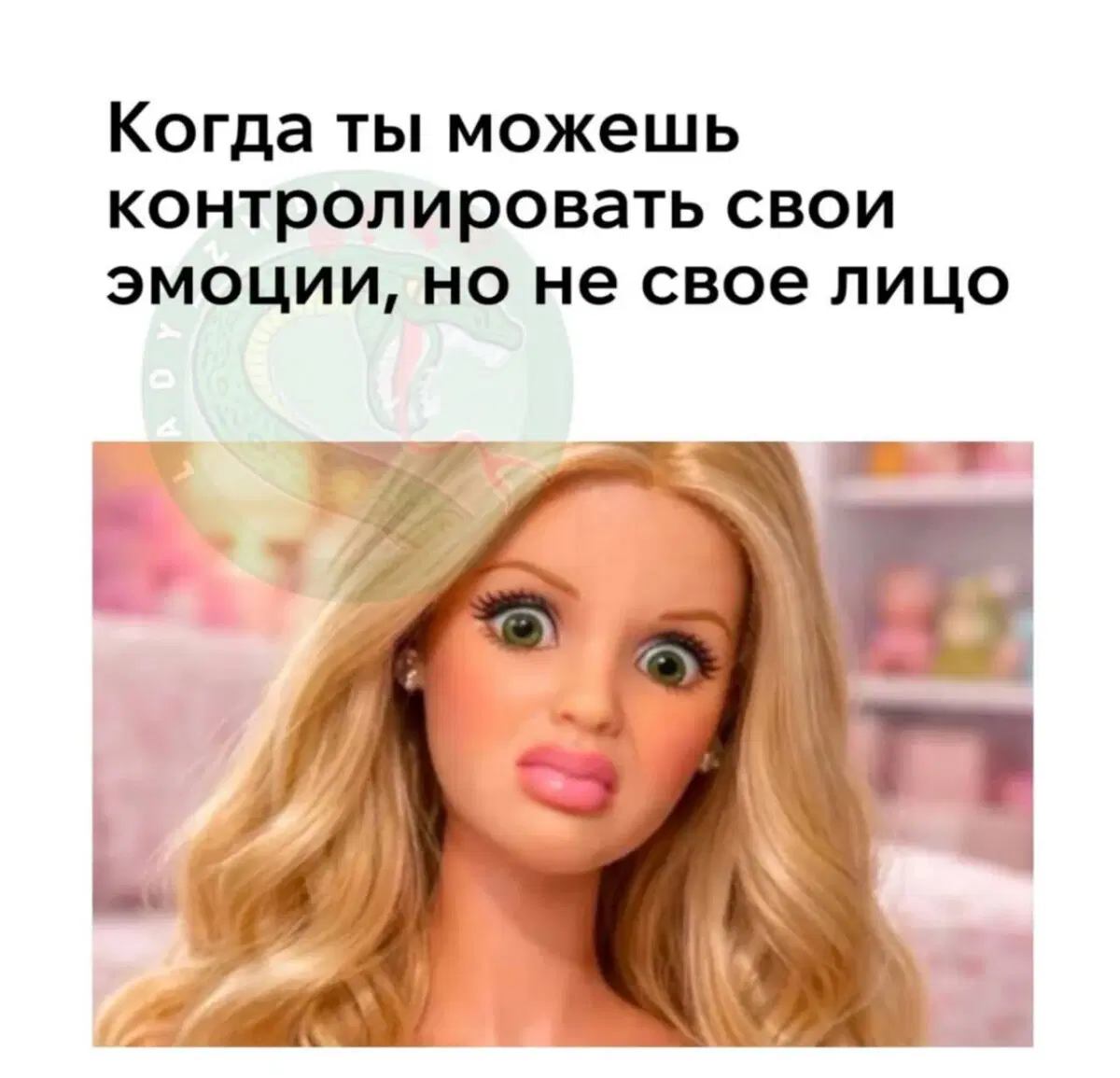 Трудовторник к дичьке готов