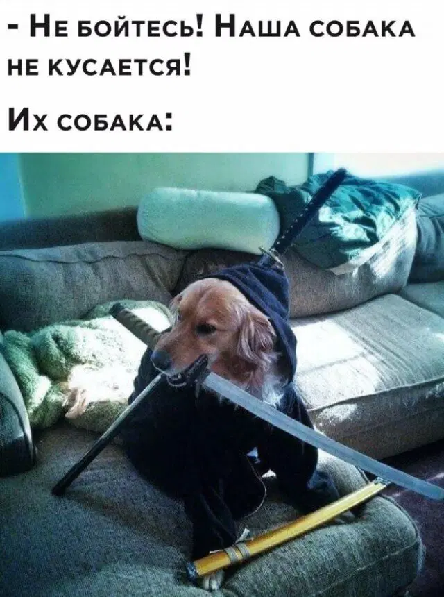 Трудовторник к дичьке готов