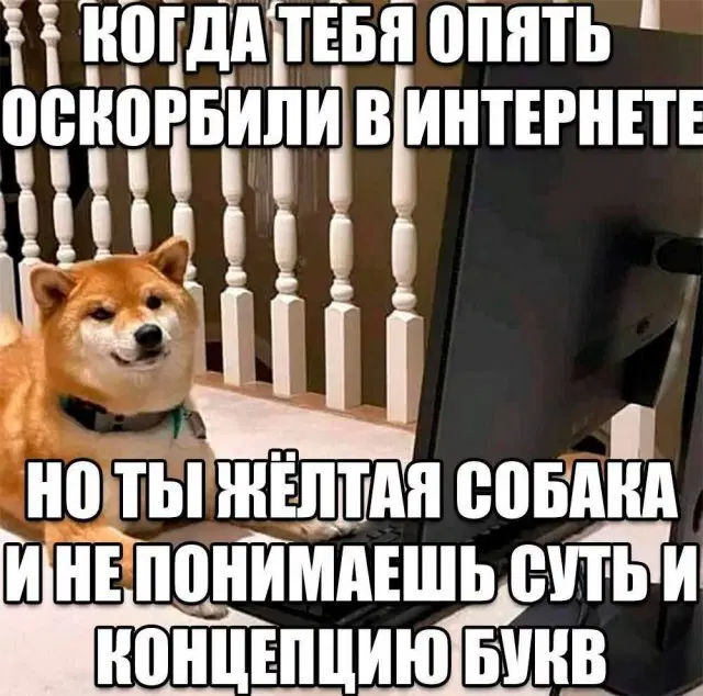 Трудовторник к дичьке готов