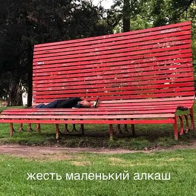 Дичка просто Дичка