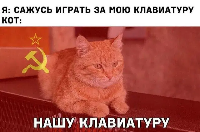 Дичка просто Дичка