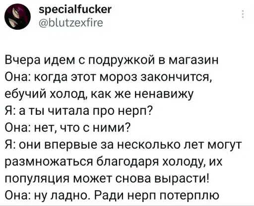 Дичка просто Дичка