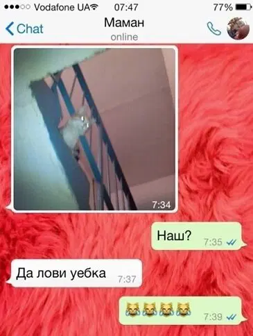 Дичка? Дичка...