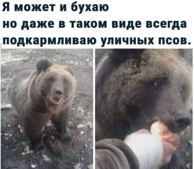 Дичка? Дичка...