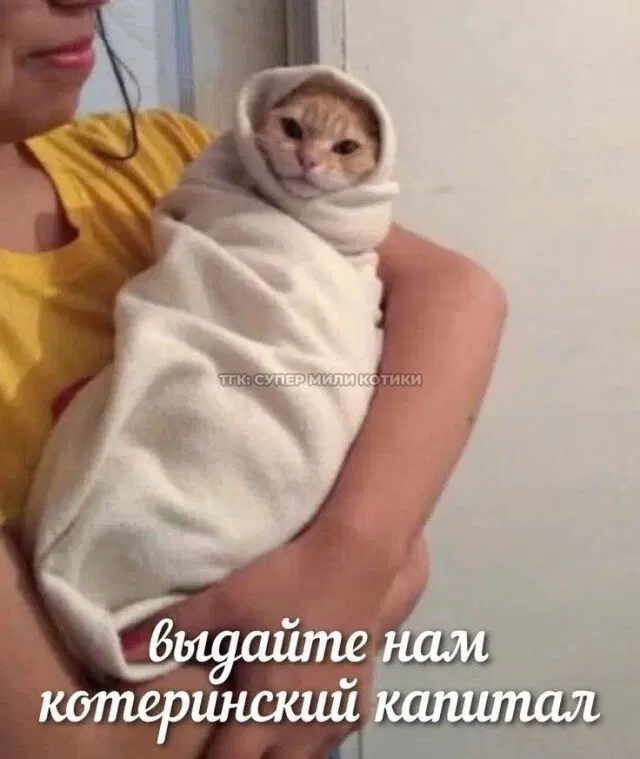 Дичка? Дичка...