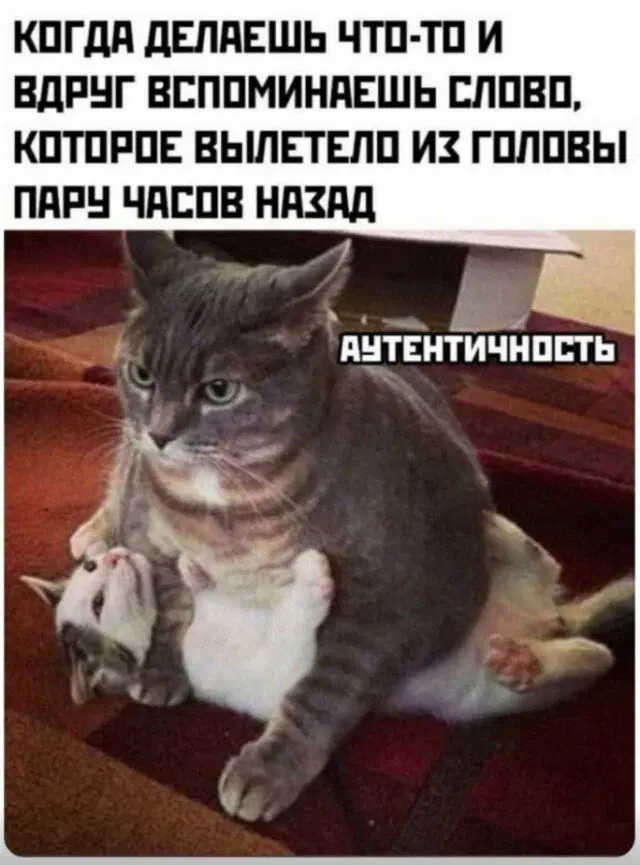 Дичка? Дичка...