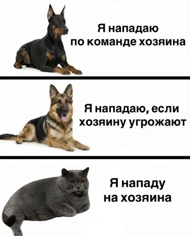 Дичка? Дичка...