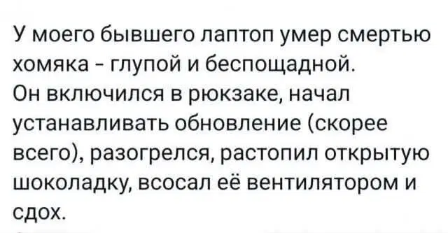 Дичка? Дичка...