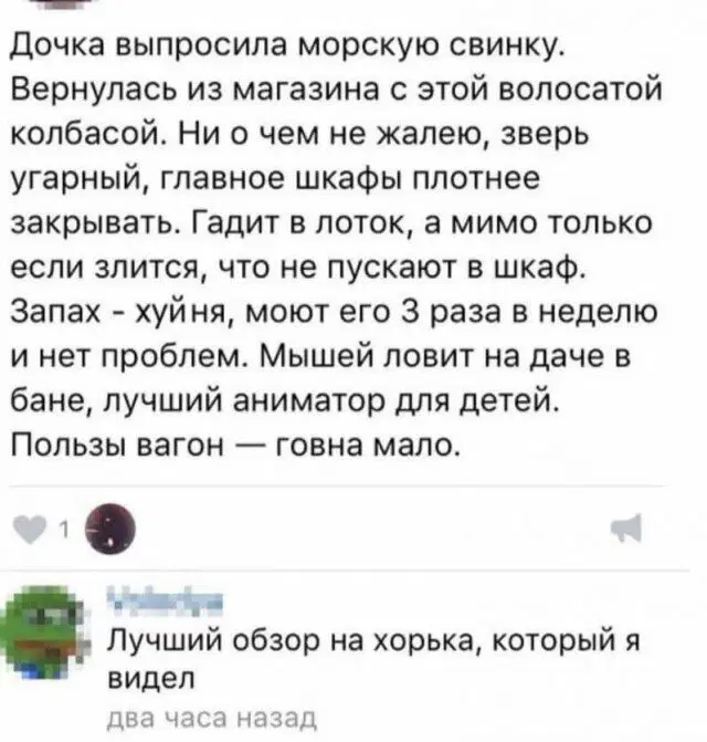 Дичка? Дичка...