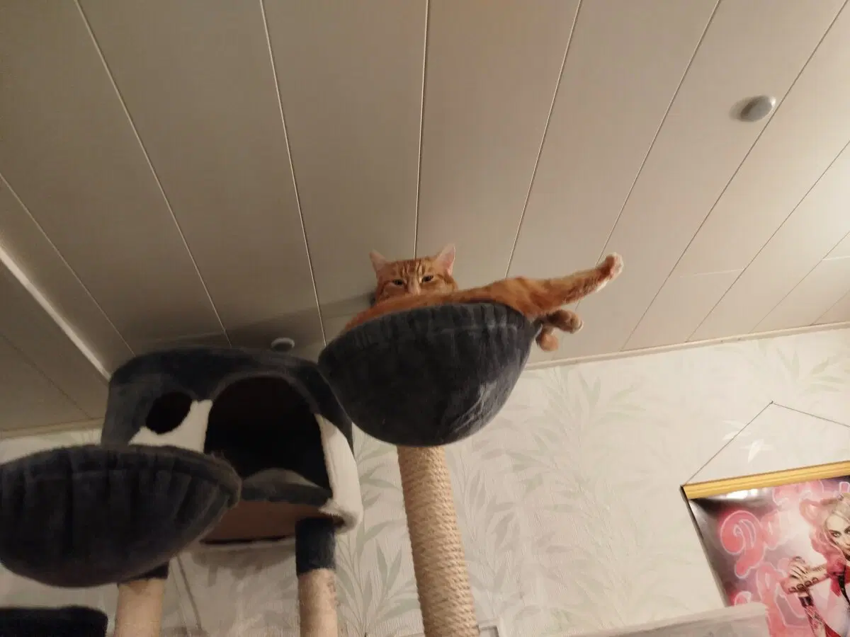 Эрик ты там нормально?