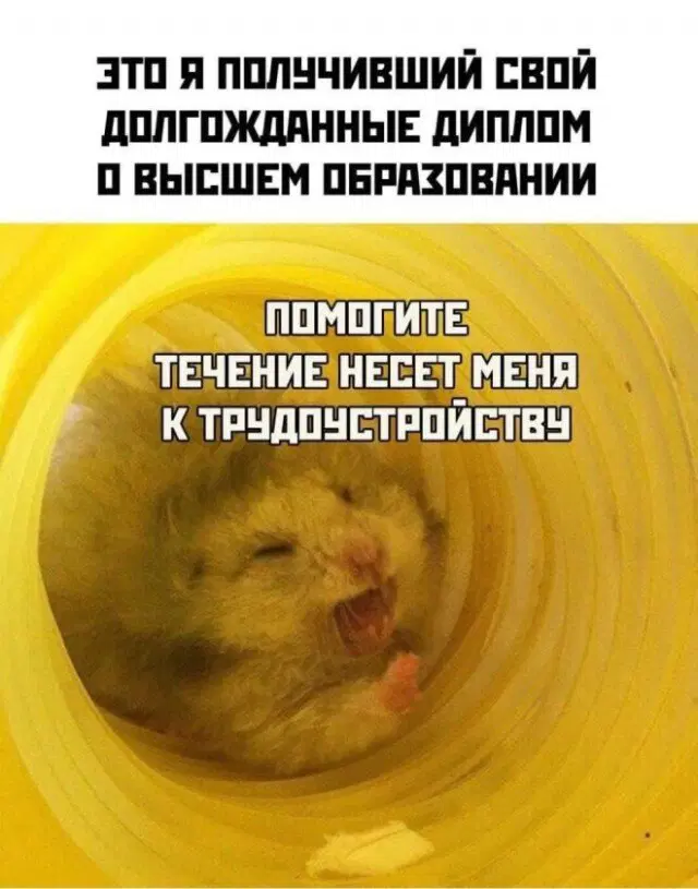 Че пупу Тве пупупу Рг парапам, дички вам