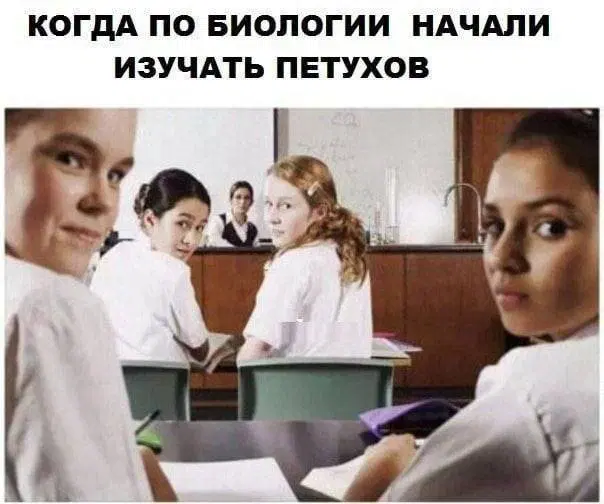 Че пупу Тве пупупу Рг парапам, дички вам