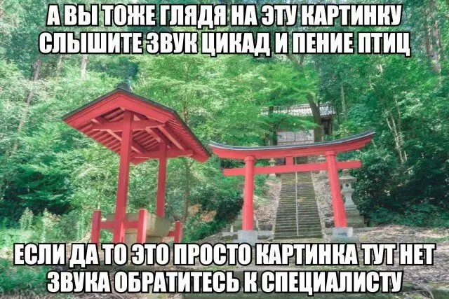 Че пупу Тве пупупу Рг парапам, дички вам