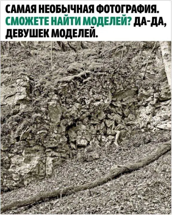 Дичи дички диченьки