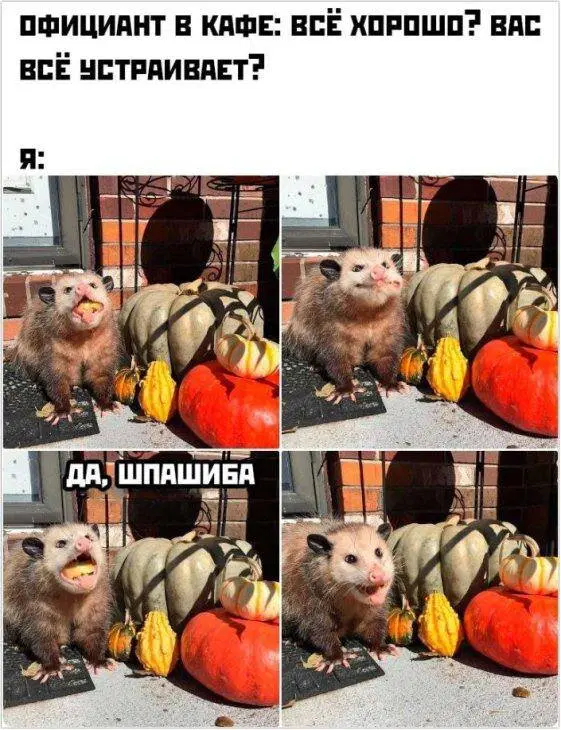 Дичи дички диченьки