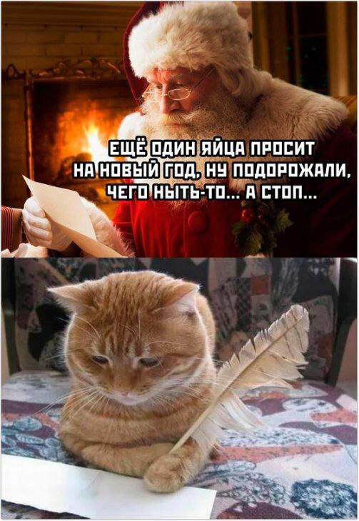 Питнеццо на дичке