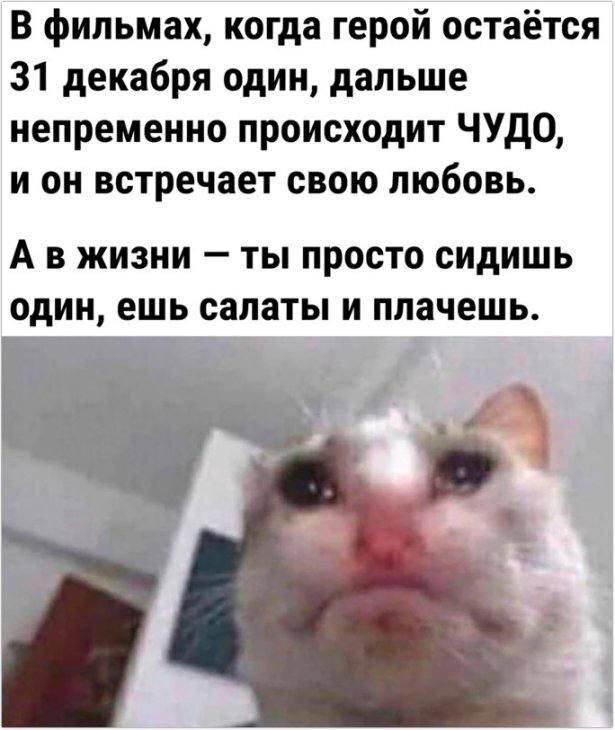 Питнеццо на дичке