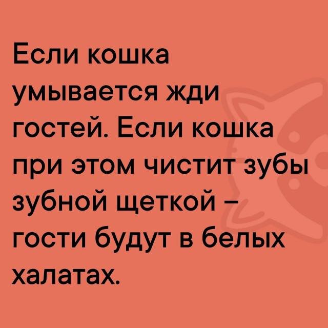 Питнеццо на дичке