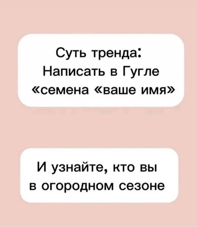 Питнеццо на дичке