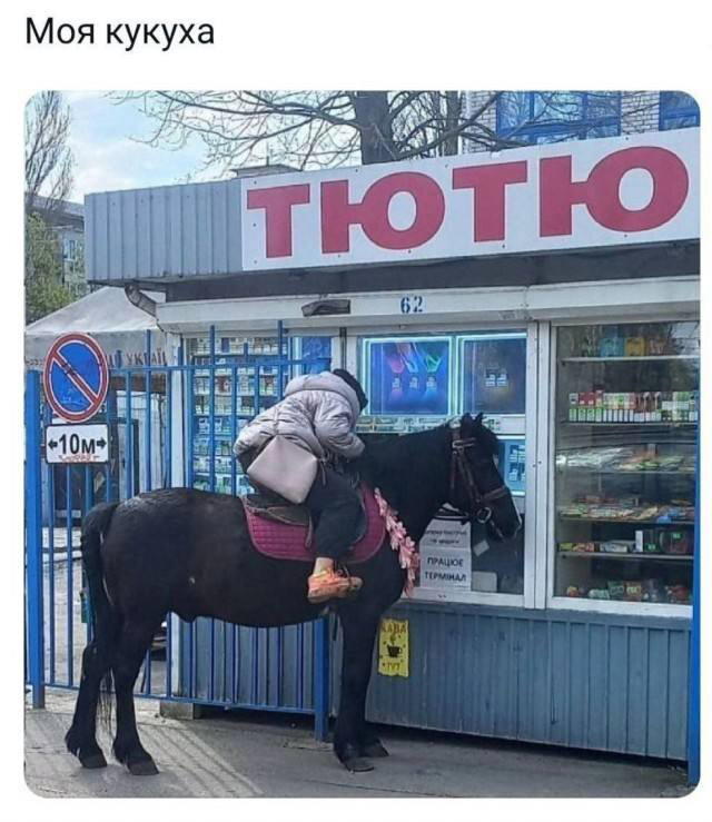 Питнеццо на дичке