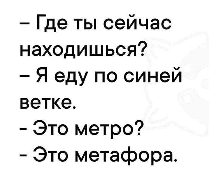 Питнеццо на дичке