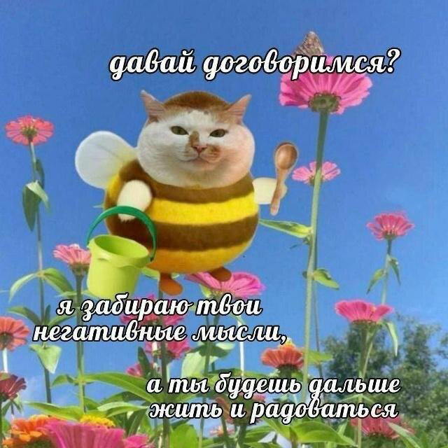 Питнеццо на дичке