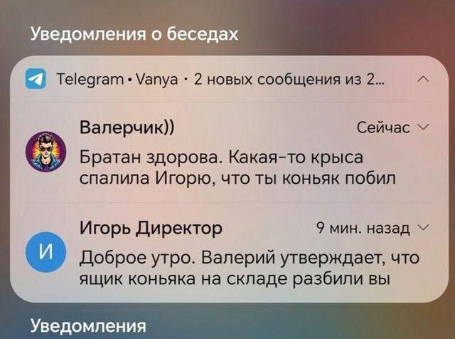 Питнеццо на дичке