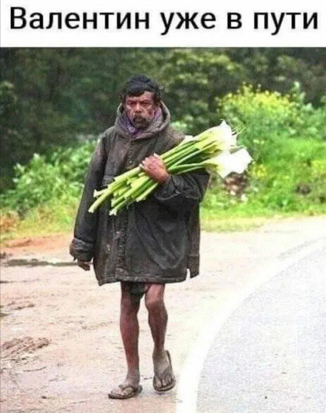 Дичи к чувствам