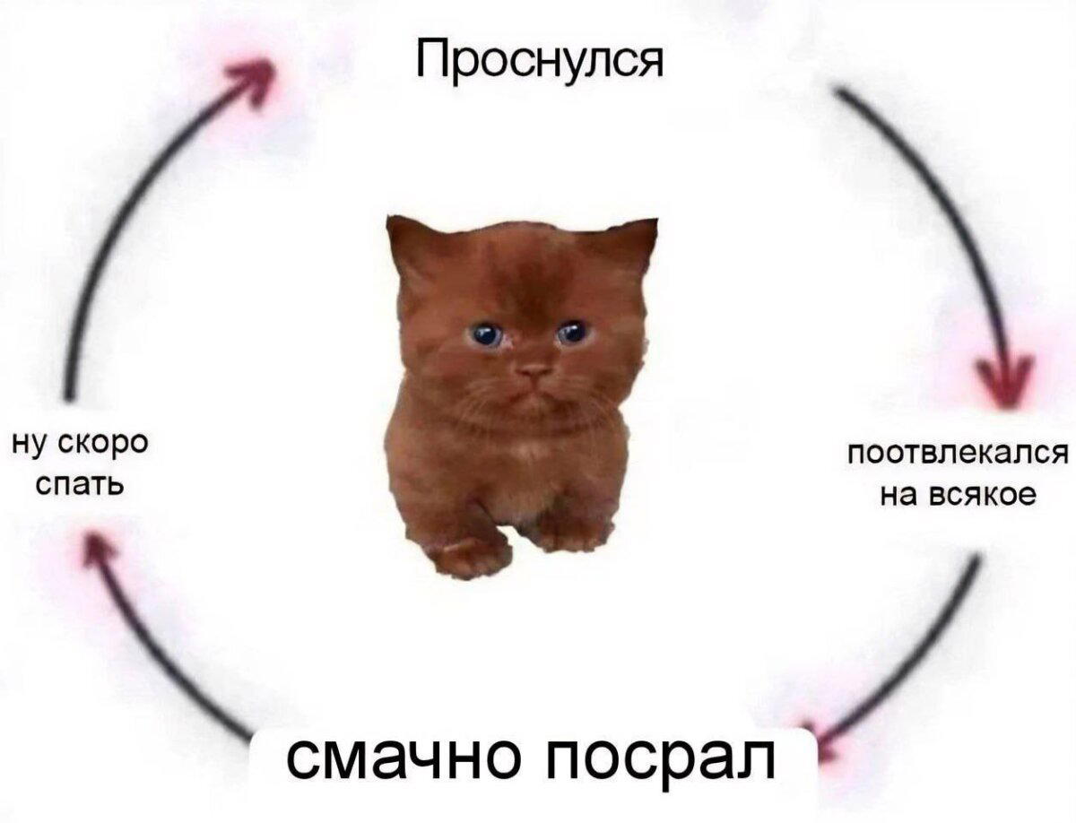 Дичи к чувствам