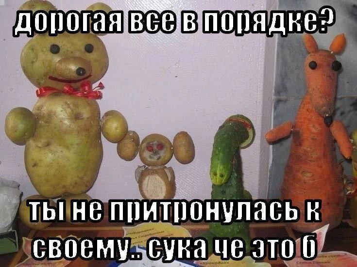 Дичи к чувствам