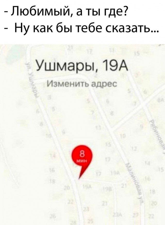 Дичи к чувствам