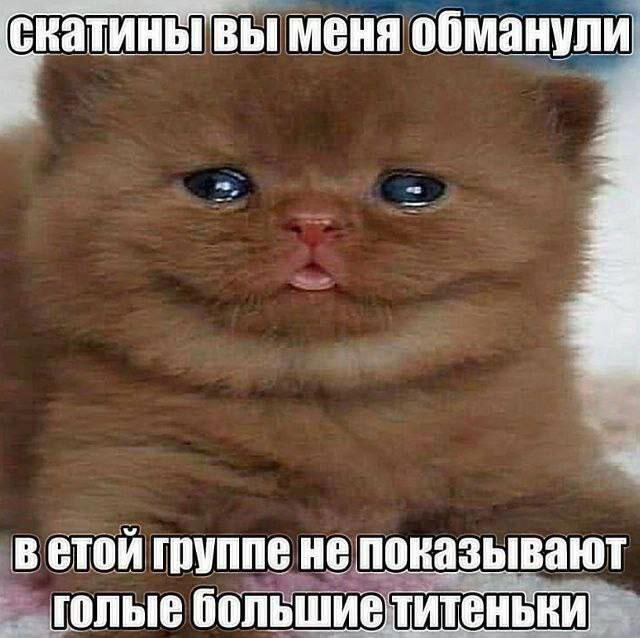 Дичи к чувствам