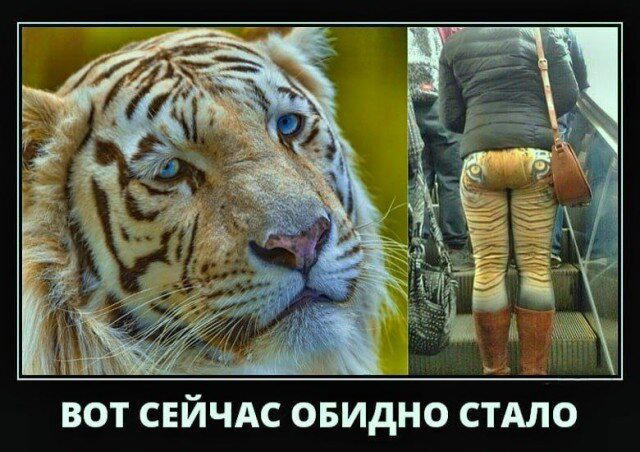 Дичи к чувствам