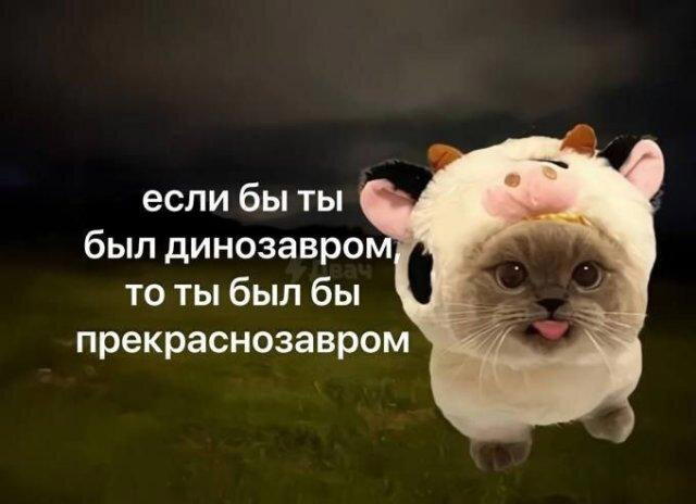 Дичка на конец... Недели