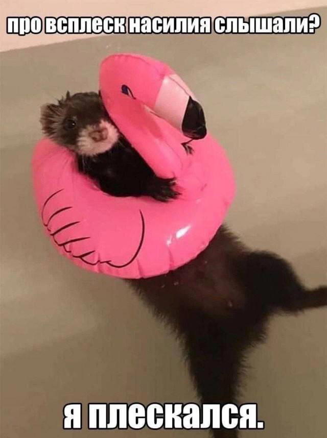 Мне кажется все мы немного обездичины