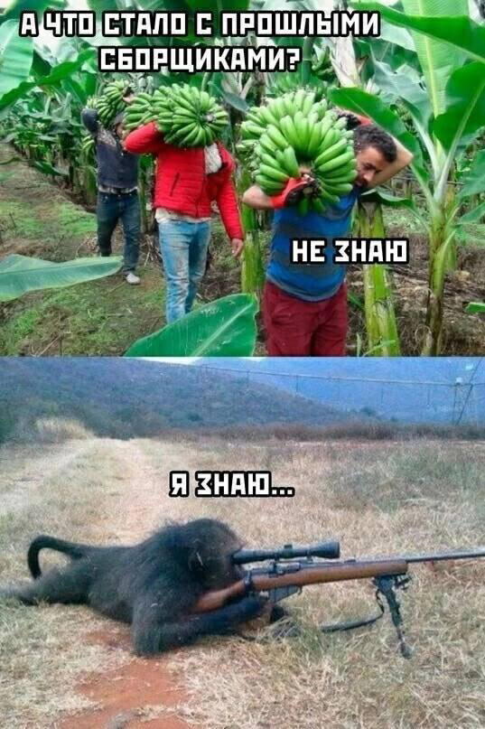 Мне кажется все мы немного обездичины