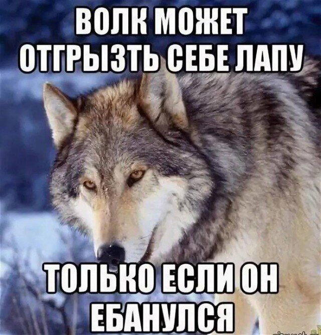 Мне кажется все мы немного обездичины