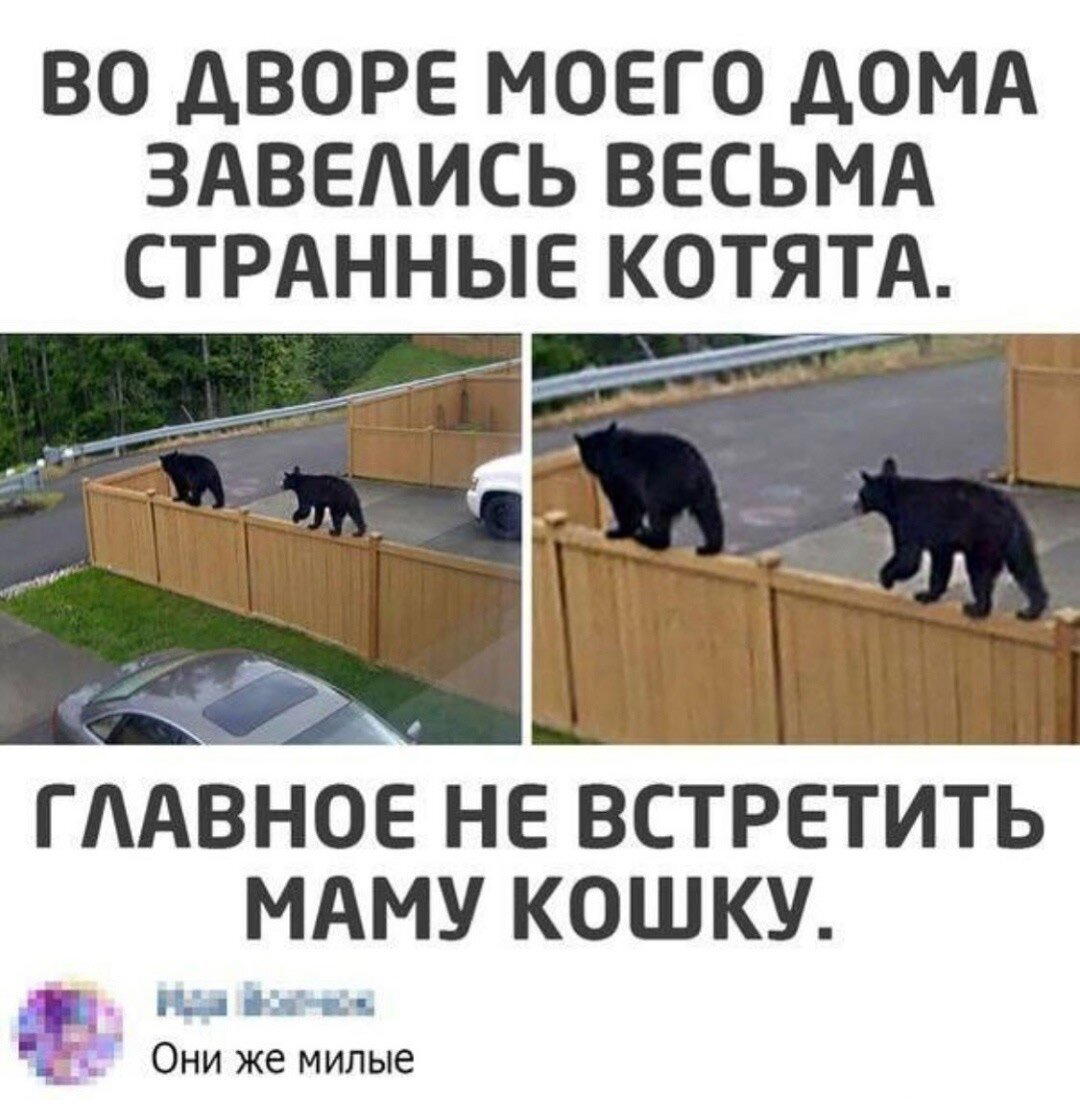 Мне кажется все мы немного обездичины