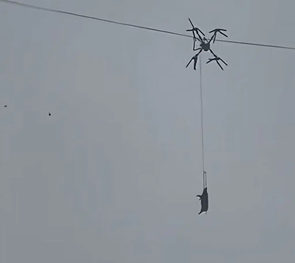 Ивент Вомбата. Слово недели - Кус.