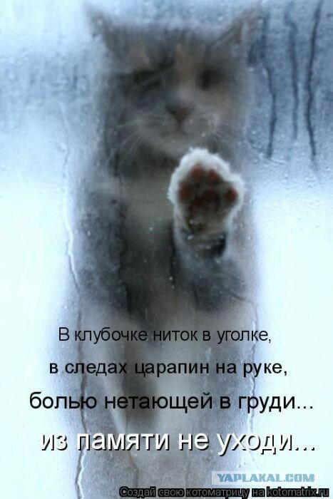 Неделя со вкусом дички