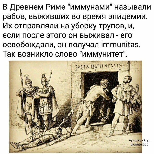 Неделя со вкусом дички