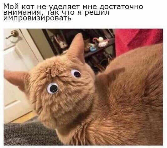 Неделя со вкусом дички